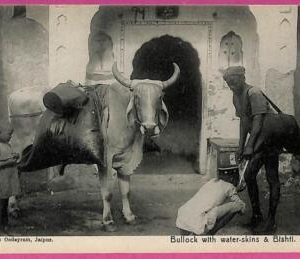 ag3814  - INDIA - VINTAGE POSTCARD - Jaipur, Ethnic