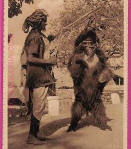 ag3816  - INDIA - VINTAGE POSTCARD -  Ethnic