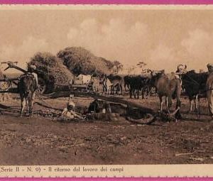 ag3651 - INDIA - VINTAGE POSTCARD - Ethnic