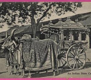ag3655 - INDIA - VINTAGE POSTCARD - Indian State Carriage, Ethnic