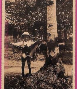 ag3685  - INDIA - VINTAGE POSTCARD - ETHNIC
