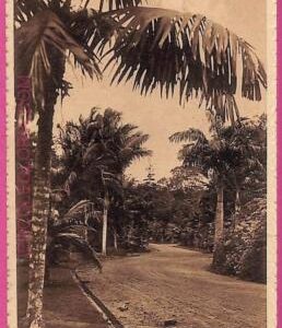 ag3690  - INDIA - VINTAGE POSTCARD - Singapore