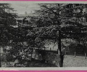 ag3700  - INDIA - VINTAGE POSTCARD - Simla