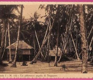 ag3688  - INDIA - VINTAGE POSTCARD - ETHNIC