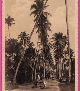 ag3691  - INDIA - VINTAGE POSTCARD - Singapore