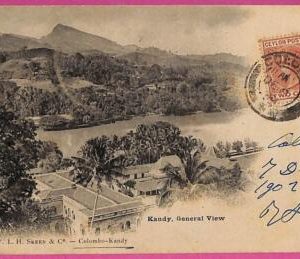 ag3671 - INDIA - VINTAGE POSTCARD - Kandy