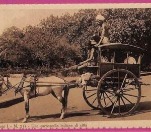 ag3684  - INDIA - VINTAGE POSTCARD - ETHNIC