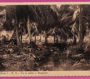 ag3694  - INDIA - VINTAGE POSTCARD - Singapore
