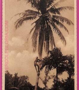 ag3680 - INDIA - VINTAGE POSTCARD - ETHNIC