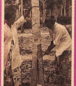 ag3697  - INDIA - VINTAGE POSTCARD - ETHNIC
