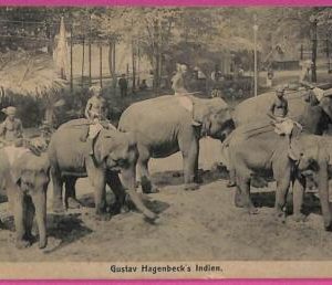 ag3729  - INDIA - VINTAGE POSTCARD - ETHNIC, Gustav Hagenbeck's Indien