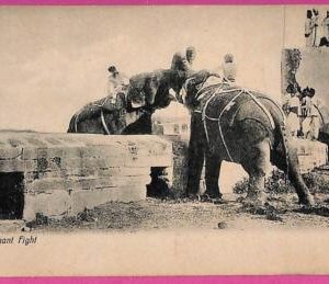 ag3740  - INDIA - VINTAGE POSTCARD - Elephant Fight, Ethnic