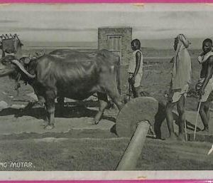 ag3753  - INDIA - VINTAGE POSTCARD - ETHNIC