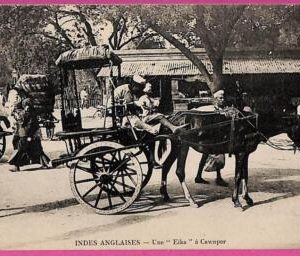 ag3763  - INDIA - VINTAGE POSTCARD  - Ethnic, Indios