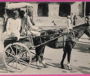ag3764  - INDIA - VINTAGE POSTCARD  - Jaipur