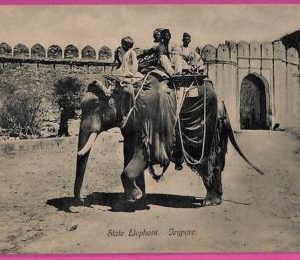 ag3768  - INDIA - VINTAGE POSTCARD  - Jeypore, State Elephant