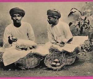 ag3778  - INDIA - VINTAGE POSTCARD  - Gindu Fruit Seller, Ethnic