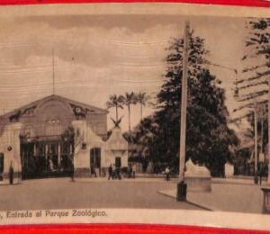 aa4029  - PERU  - VINTAGE POSTCARD   - LIMA  Parque Zoologico  1929