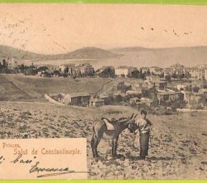 ac10011 - TURKEY - VINTAGE POSTCARD  - Constantinople