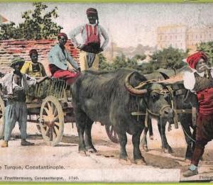 ac9965 - TURKEY - VINTAGE POSTCARD  - Constantinople, Costume