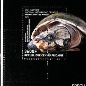 A0270 - CENTRAL AFRICA - MISSPERF 2017 stamp SHEET: Nature Fauna TURTLE TORTOISE