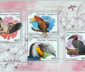 A1519- CENTRAL AFRICAN REP., ERROR МISPERF Miniature sheet: 2019 Hornbills, Bird