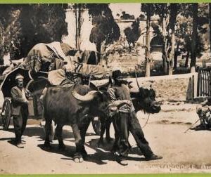 ad1466 - TURKEY - VINTAGE POSTCARD  - Constantinople