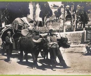 ad1472 - TURKEY - VINTAGE POSTCARD  - Constantinople