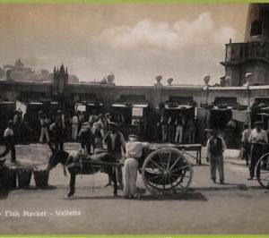 ac9320 - MALTA - VINTAGE POSTCARD - Valletta, Ethnic