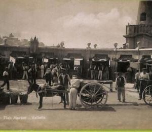 ac9305 - MALTA - VINTAGE POSTCARD - Valletta