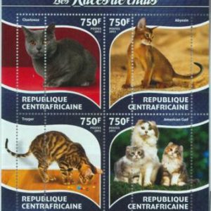 A3624-CENTRAL AFRICAN REPUBLIC ERROR MISSPERF 2015  Cats Кошки