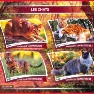 A3893 - Central African Rep - ERROR MISPERF, Miniature sheet: 2019, Cats