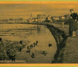ad1680 - ICELAND - VINTAGE POSTCARD - Reykjavik