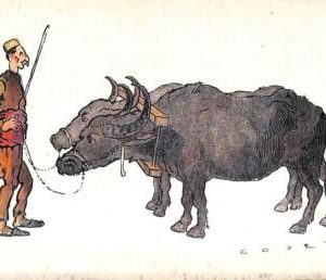 ac9153  - GREECE - VINTAGE POSTCARD - ETHNIC Illustrated HUMOUR