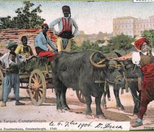 ad1501 - TURKEY - VINTAGE POSTCARD  - Constantinople - 1906
