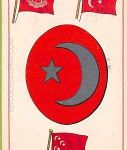 ad1646 - TURKEY - VINTAGE POSTCARD - Flag - 1905