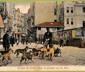 ad1566 - TURKEY - VINTAGE POSTCARD - Pera - 1913