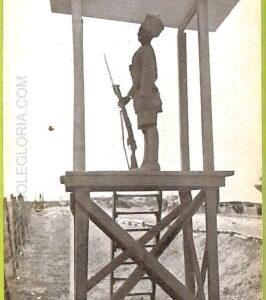 ad1639 - TURKEY - VINTAGE POSTCARD - Turkish Prisoners of War - WWI