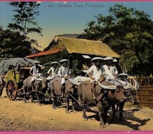 ag3592 -  Philippines - VINTAGE POSTCARD  - Carabao Train