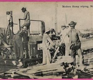ag3565 -  Philippines - VINTAGE POSTCARD  - Manila, Modern Hemp stiping