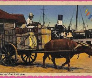 ag3568 -  Philippines - VINTAGE POSTCARD  - Ethnic, Carabao and cart