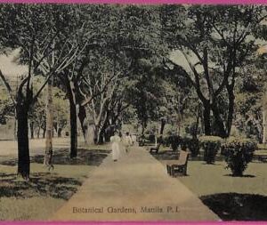 ag3593 -  Philippines - VINTAGE POSTCARD  - 1908 - Manila, Botanical gardens
