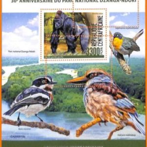 A5628 - CENTRAL AFRICAN REP - ERROR 2020 МISPERF SOUVENIR SHEET: Gorillas, Birds