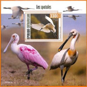 A5629 - CENTRAL AFRICAN REP - ERROR, 2020 МISPERF SOUVENIR S: Birds, Spoonbills