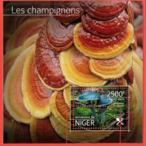 A8451 - NIGER - ERROR MISPERF  Stamp Sheet - 2014 Plants MUSHROOMS