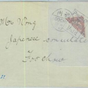 BK0465 - CHINA - POSTAL HISTORY  - Michel # 11 BISECTED on cover  1903