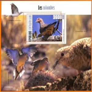 A5632 - CENTRAL AFRICAN REP - ERROR, 2020 МISPERF SOUVENIR SHEET: Birds, Pigeons