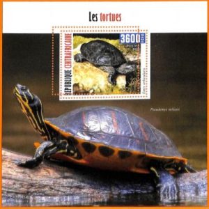 A5634 - CENTRAL AFRICAN REP - ERROR, 2020, МISPERF SOUVENIR SHEET: Turtles