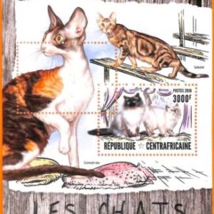 A5664 - CENTRAL AFRICAN REP ERROR 2016 МISPERF SOUVENIR S: Cats, Sokoke, Birman