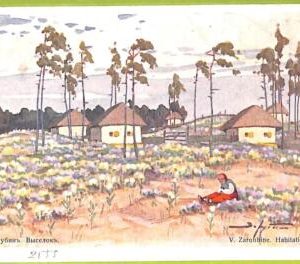 ae8690 - RUSSIA - Vintage Postcard - ILLUSTRATED - I.I.Schichkine